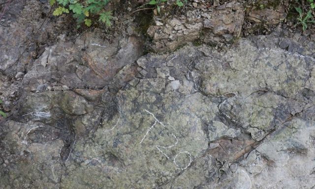 Phát hiện dấu chân khủng long tại Trung Quốc