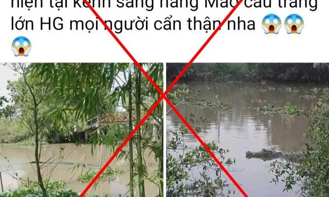 Tin thời sự ngày (12/12): Bác thông tin có cá sấu 300kg tại kênh Nàng Mau