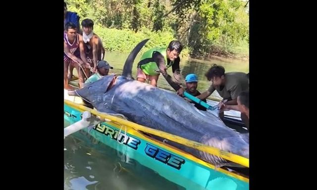 Clip: Bắt được cá 