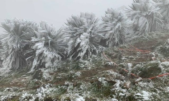 Miền Bắc đón không khí lạnh mạnh, có nơi rét đậm, nhiệt độ giảm xuống dưới 5 độ C