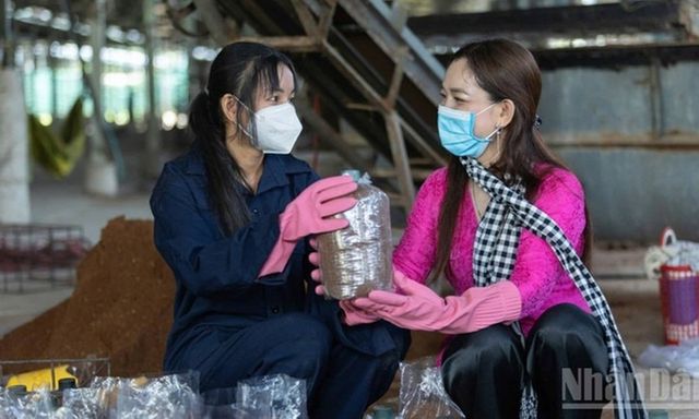 Nữ giáo viên rẽ ngang làm nông dân, thu tiền tỷ mỗi năm nhờ trồng thứ 