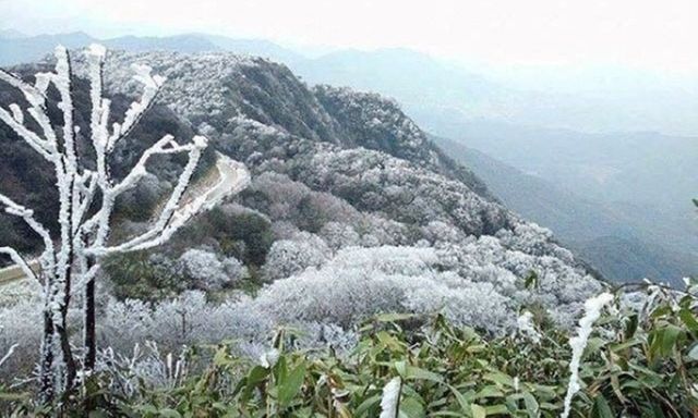 Tin không khí lạnh mới nhất: Miền Bắc rét đậm, nhiệt độ giảm sâu