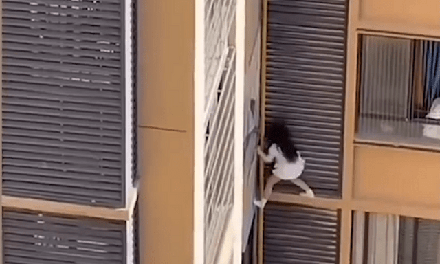 Thót tim cảnh người phụ nữ đu mình bên ngoài tầng 10 của một tòa chung cư, nghi bị bắt quả tang ngoại tình