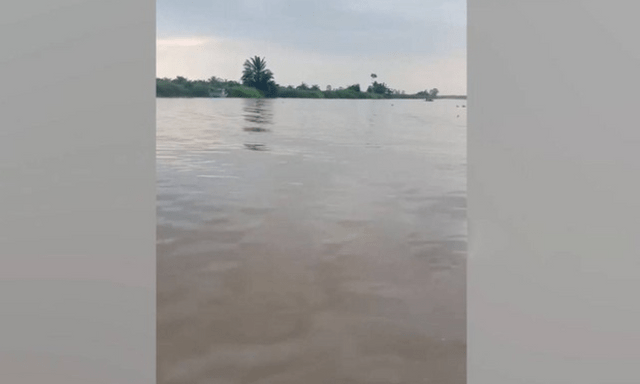 Đang rửa quả cọ trên sông, người đàn ông bị cá sấu cắn tử vong 