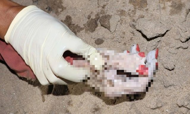 Phát hiện thi thể nữ trôi sông Sài Gòn, bàn tai phải có 6 ngón, sơn màu đỏ