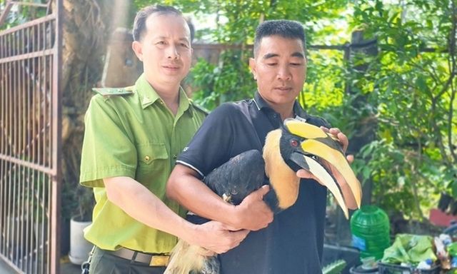 Tin thời sự ngày (24/12): Chim quý hiếm sà xuống trước mũi xe, đuổi không đi