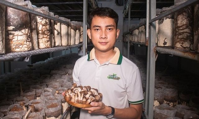 Sở hữu 3 bằng đại học danh giá, chàng trai 27 tuổi bỏ phố về quê trồng nấm bằng... điện thoại di động