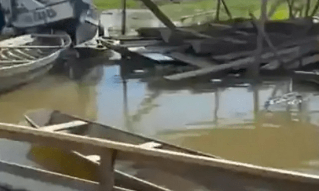 Xót xa bé gái 2 tuổi bị cá cọp piranha hung dữ tấn công, tử vong thương tâm