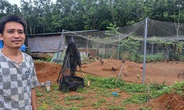 Bỏ phố về quê nuôi loài 