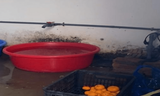 Phát hiện vi phạm của Công ty Nhật Anh trong cung cấp suất ăn bán trú cho trường học ở Hà Nội