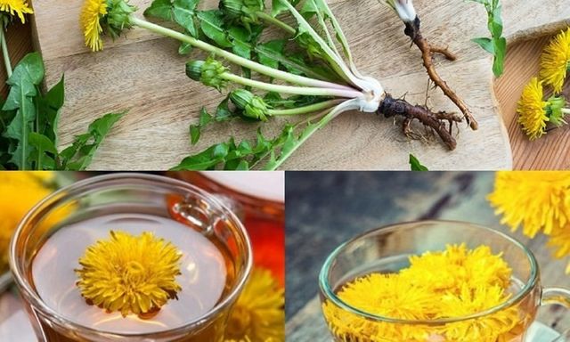  4 loại trà giúp tăng collagen, thanh nhiệt, mát gan