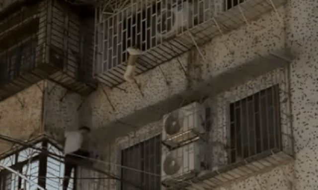 Clip: Bé trai treo lơ lửng ngoài ban công tầng 4 được 3 thanh niên giải cứu thần tốc