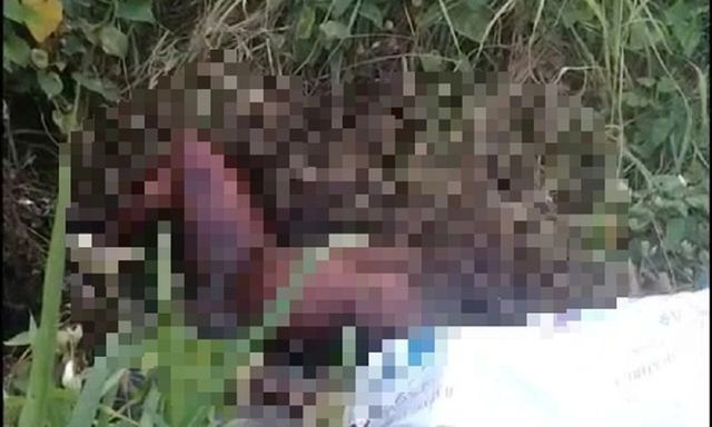 Tin pháp luật nổi bật 24h qua: Phát hiện thi thể nam giới đã khô gần trạm thu phí ở TP.HCM