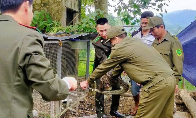 Phát hiện con vật 