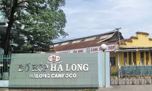 Dòng tiền hàng trăm tỷ đồng mỗi năm của Đồ hộp Hạ Long