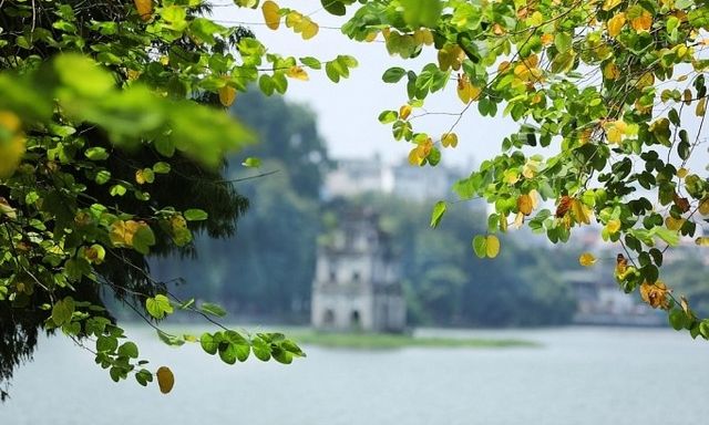 Tin tức dự báo thời tiết hôm nay 10/1: Bắc Bộ sương mù, trời rét