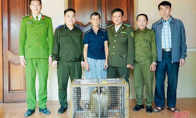 Tin tức thời sự 24h: Người dân ở Hà Tĩnh giao nộp con vật quý, đuôi giống lợn 