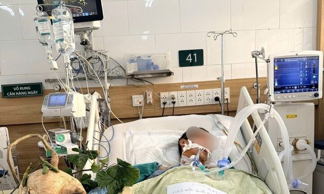 Diễn biến vụ 6 người trong gia đình ngộ độc do ăn hạt cây củ đậu tỉnh Ninh Bình