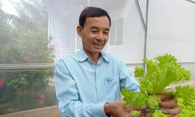 Giám đốc 7X bỏ việc, khởi nghiệp trồng rau, thu nhập nhiều người mơ ước