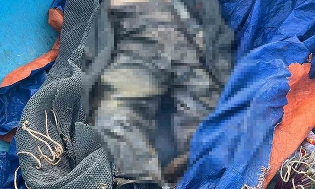 Phát hiện thi thể người đàn ông trôi dạt trên biển ở Hà Tĩnh