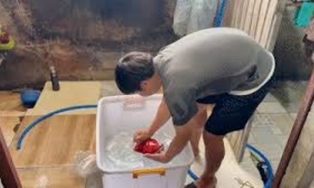 Clip: Cận cảnh quy trình 