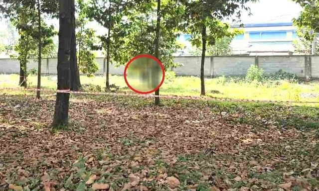 Điều tra vụ nam thanh niên tử vong trong vườn cây ở khu công nghiệp tại TP.HCM