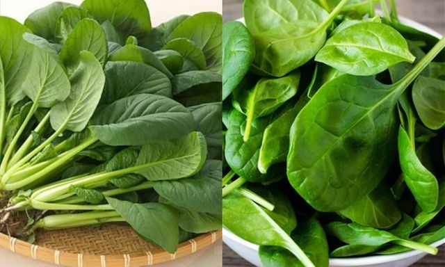 7 thực phẩm giúp gan hoạt động tốt hơn mà ít người để ý