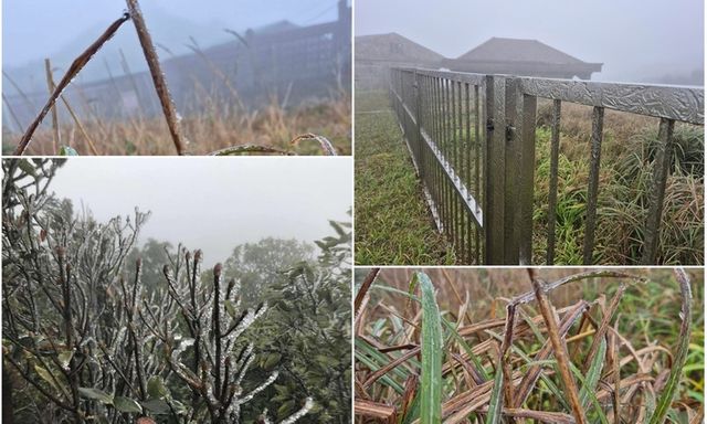 Cận cảnh lớp băng giá xuất hiện trên đỉnh Mẫu Sơn