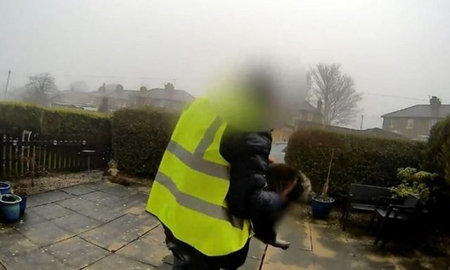 Đi giao hàng, nam shipper trộm luôn mèo của khách, camera chuông cửa ghi lại bằng chứng