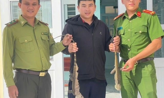 Tin tức thời sự 24h: Người dân tự nguyện giao nộp kỳ tôm quý hiếm