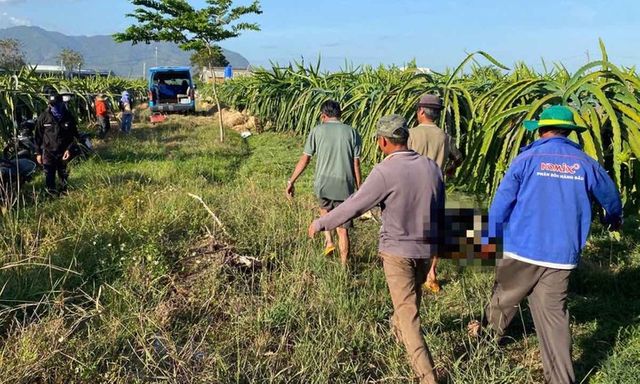 Người đàn ông tử vong trong vườn thanh long ở Lâm Đồng