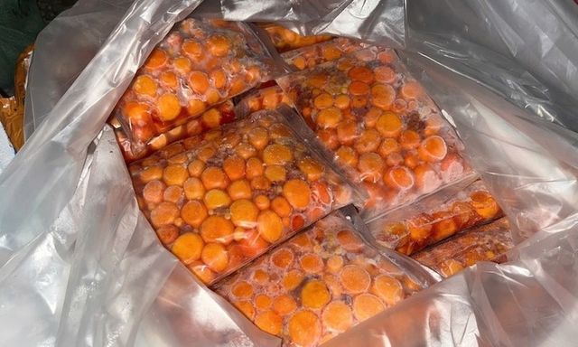  Thu giữ hơn 10 tấn thực phẩm đông lạnh gồm lạp xưởng, nầm heo, tràng trứng không rõ nguồn gốc