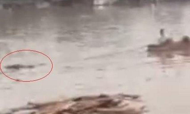 Tin pháp luật nổi bật 24h qua: Điều tra nguyên nhân vụ thi thể nữ giới trôi trên sông Đồng Nai