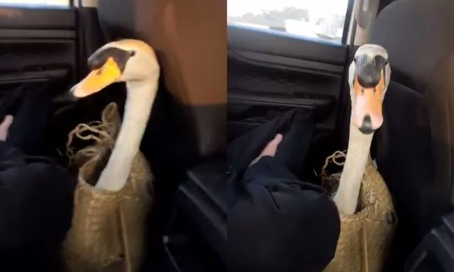 Hành trình 24 giờ 