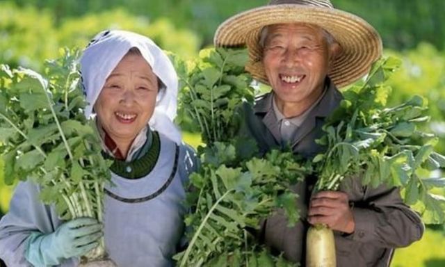 Vì sao người Nhật thường có tuổi thọ cao?
