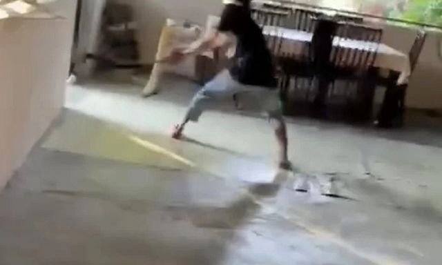 Clip: Người đàn ông tay không khống chế hổ mang chúa khổng lồ