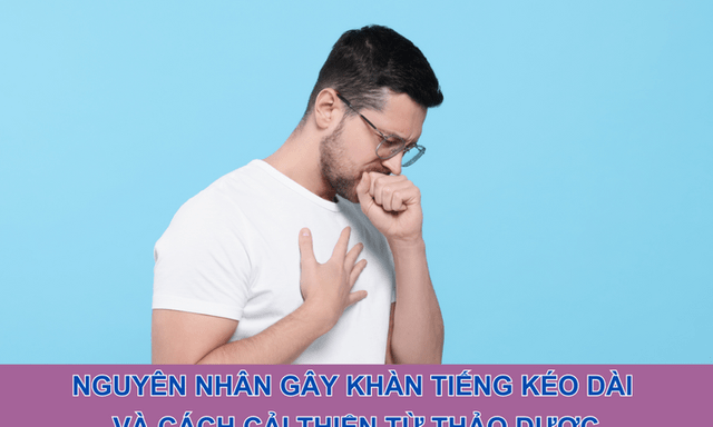 Nguyên nhân gây khàn tiếng kéo dài và cách cải thiện từ thảo dược