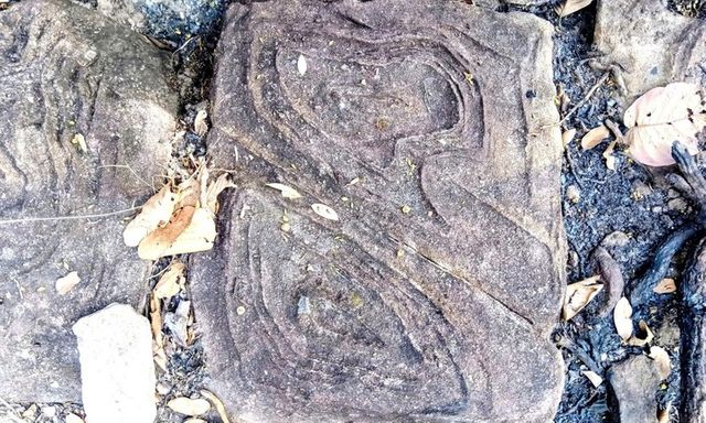 Vụ phát hiện 65 viên đá họa tiết bí ẩn, kỳ lạ trong Vườn quốc gia Yok Đôn: Thông tin mới nhất