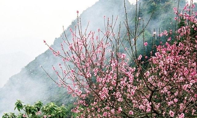 Tin tức dự báo thời tiết hôm nay 9/2: Bắc Bộ tiếp tục có mưa, trời rét