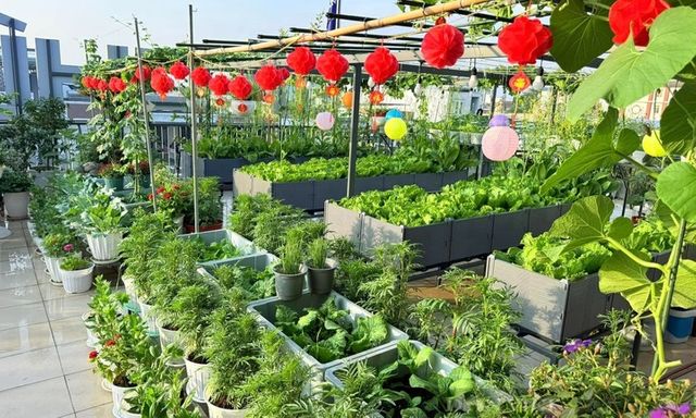 Ngắm khu vườn sân thượng 100m2 