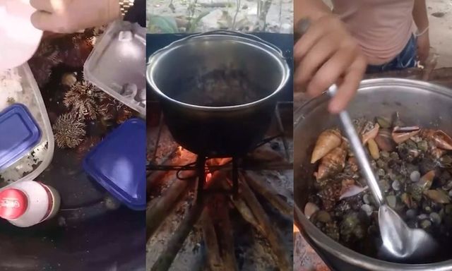 Quay video ăn “cua quỷ” cực độc, nữ vlogger nổi tiếng co giật, môi tím tái rồi tử vong