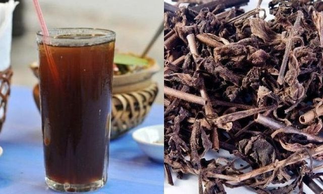 Nhân trần có giúp thải độc gan?