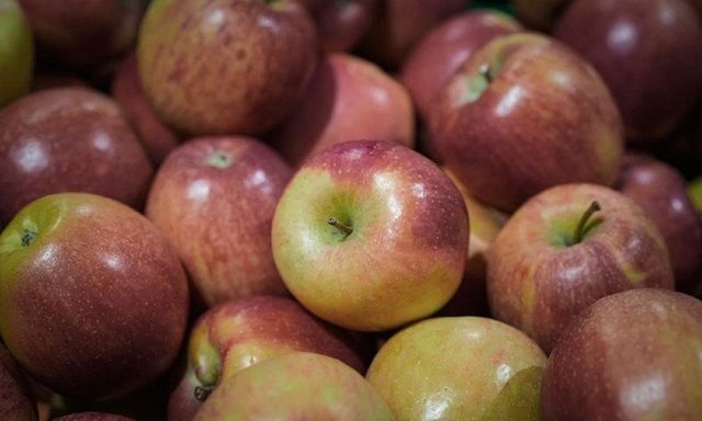 Táo ở châu Âu bị phát hiện có dư lượng hóa chất bảo vệ thực vật