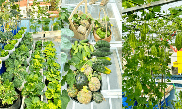 Mẹ đảm Đồng Nai biến sân thượng 70m2 thành 