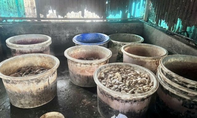 Phát hiện hơn 55 tấn lòng, dạ dày và chân gà không rõ nguồn gốc trong kho một doanh nghiệp ở Hải Phòng