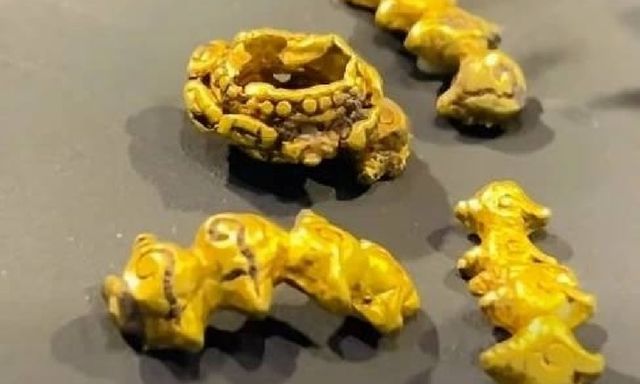 Đi đánh cá kéo được 