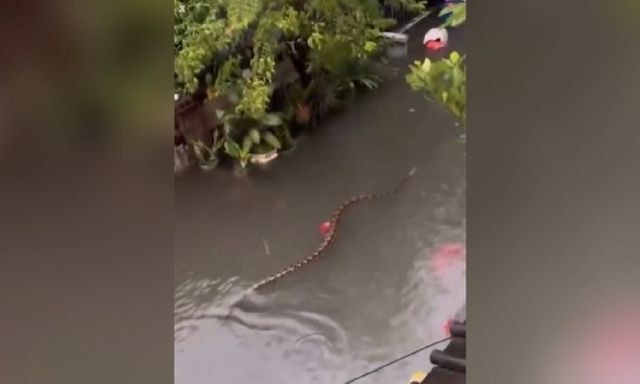 Sau trận mưa lớn, người dân Bali 