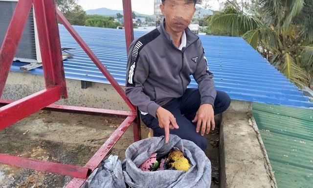 Bắt khẩn cấp đối tượng trộm 3 con heo đất gần 100 triệu đồng cùng 11 chỉ vàng của người dân