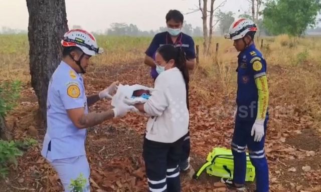 Clip: Tá hỏa phát hiện trẻ sơ sinh với nhiều vết côn trùng cắn giữa đồng hoang