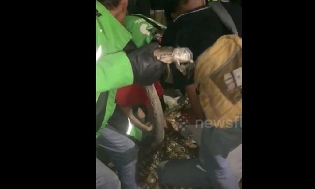 Thấy nệm lồi lõm bất thường, người đàn ông tá hỏa phát hiện 